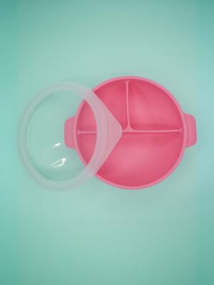 Silicone suction plate with lid