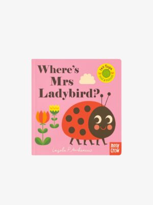 Felt flaps & mirror Book - Where's Mrs.Lady Bird