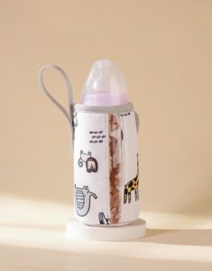 insulated-bottle-bag