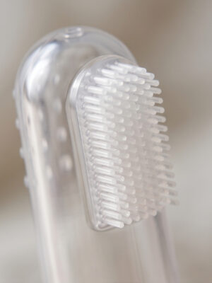 baby-finger-toothbrush-silicone-2pcs