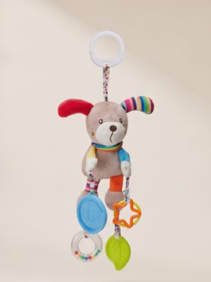 Baby Hanging Teether Toy