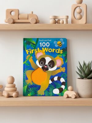 100 First Words Touch and Feel Book